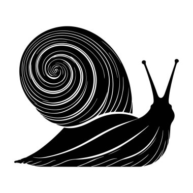 Beyaz arkaplanda deniz salyangozu silueti siyah vektör çizimi.