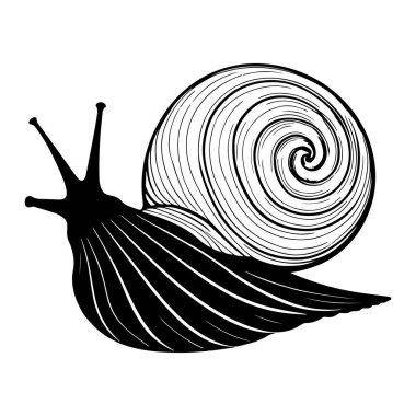 Beyaz arkaplanda deniz salyangozu silueti siyah vektör çizimi.