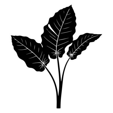Bir Taro yaprağının silueti siyah vektör sanat çizimi.