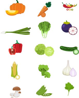 Renkli meyve ve sebze resimlerinin meyve seti vektörü.