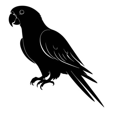 Beyaz arkaplan vektöründe şirin bir papağan kuşu siyah silueti.