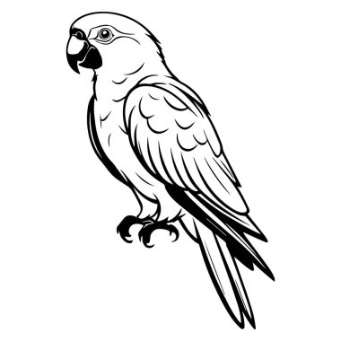 Beyaz arkaplan vektöründe şirin bir papağan kuşu siyah silueti.