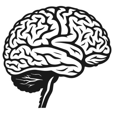İnsan beyni vektör eli anatomi çizimi silüeti.