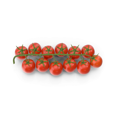 Taze kırmızı vişneli domatesler, yeşil saplı taze kırmızı domatesler, sebze ve sebze tarımını temsil eden meyve salata ya da salsa sosu için olgun domates.