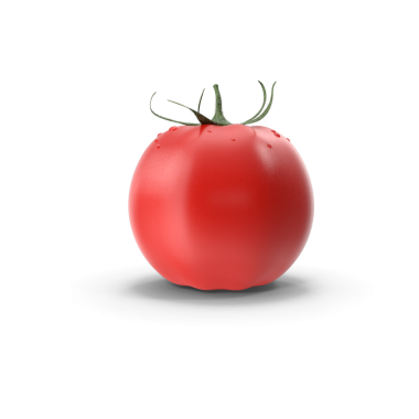 Beyaz, doğal, organik ve taze domateslere izole edilmiş kırmızı domates. Salatalar ve mevsimlik yiyecekler için lezzetli ve sağlıklı malzemeler. Olgun domates sarmaşığı olgunlaşmış kırmızı meyve sebzesi gibi 