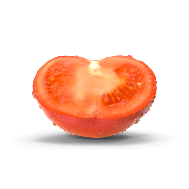 Beyaz, doğal, organik ve taze domateslere izole edilmiş kırmızı domates. Salatalar ve mevsimlik yiyecekler için lezzetli ve sağlıklı malzemeler. Olgun domates sarmaşığı olgunlaşmış kırmızı meyve sebzesi gibi 