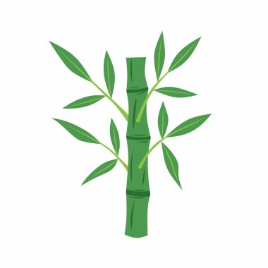 Yeşil bambu ağacı illüstrasyon vektör tasarımı