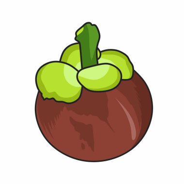 Taze mangosteen meyve illüstrasyon vektör tasarımı
