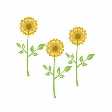 Üç demet ayçiçeği soyut illüstrasyon vektör tasarımı