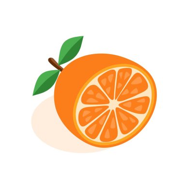 Beyaz arka planda taze portakal ve yarım portakal dilimlerinin vektör grafik çizimi. Sağlık, beslenme ve meyvelerle ilgili konular için ideal.