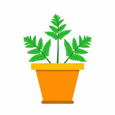 Beyaz arka planda izole edilmiş turuncu tencerede parlak yeşil eğreltiotu bitkisinin düz tasarım grafik çizimi. Botanik tasarım, ev dekorasyonu ya da bahçeyle ilgili yaratıcı projeler için mükemmel..