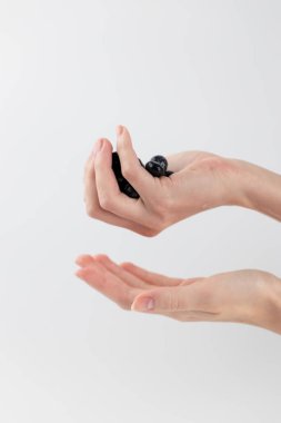 Beyaz bir fotograf arka planında, büyük yaban mersinleri kadın avuçlarına uzanır, el böğürtlenleri düşmekten korur, sağlıklı vitaminler, mevsimlik, yaz meyveleri, C vitamini, orman ve çalı meyveleri