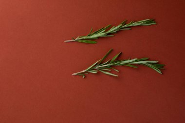 Koyu kırmızı arka planda bir nesnenin yakın plan fotoğrafı salata ve et haute mutfağı profesyonel pişirme için iki tutam taze biberiye aromalı baharat içerir.