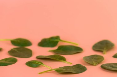 Yumuşak pembe arka planda yakın plan yeşil ıspanak yüksek enerjili içerik bırakır sağlıklı sağlıklı besin bahar salatası damarları vejetaryen yiyeceklerde.