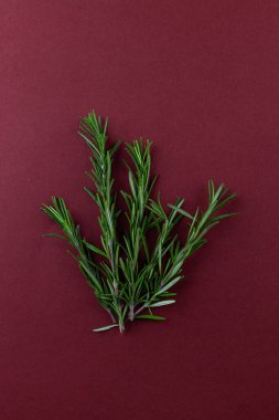 Bu resimde parlak yeşil biberiye dalları koyu kırmızı bir zemin üzerinde sergileniyor. Mutfak bağlamları, bitkisel ilaçlar ya da ev dekorasyonu estetiğini geliştirmek için ideal..