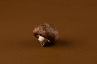 This image features a solitary brown mushroom positioned against a rich, earthy backdrop, emphasizing its organic form and texture, creating a visually appealing composition. clipart