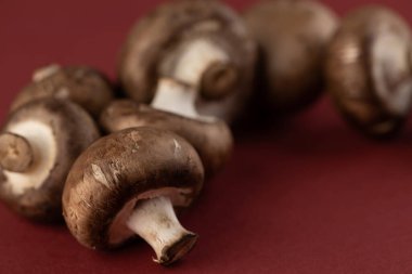 Canlı kırmızı bir zemin üzerinde sanatsal olarak düzenlenmiş birkaç taze kahverengi mantarın yakın plan görüntüsü, yiyecek fotoğrafçılığı ve yemek tarifi fikirleri için toprak tonlarını ve dokularını gözler önüne seriyor..