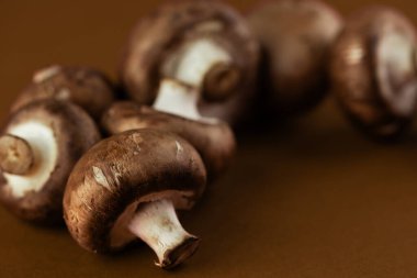 Görüntü, zengin dokularını ve toprak tonlarını sıcak, kahverengi bir zemin karşısında vurgulayan bir dizi taze kahverengi mantar sergiliyor. Mutfak ve gıda projeleri için ideal.