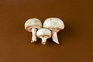 A trio of fresh white mushrooms sits elegantly against a rich brown background, showcasing their smooth texture and natural color, ideal for various dishes and recipes. clipart