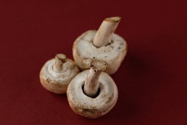 Bu üç taze beyaz mantar sanatsal olarak zengin bir kırmızı zemine karşı dizilmiş, farklı formlarını vurguluyor ve izleyicileri yemek pişirme olanakları ve lezzetli tarifler hayal etmeye davet ediyor..