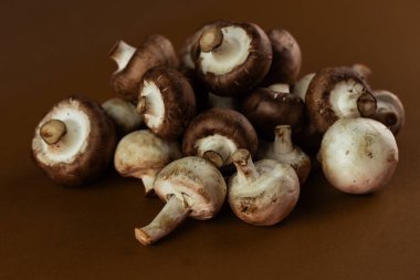 Bu resim, doğal dokularını ve renklerini vurgulayarak bir yığın taze mantarı güzelce gösteriyor. Bu da onları gastronomi aşıkları ve sağlık düşkünleri için mükemmel bir seçim yapıyor..