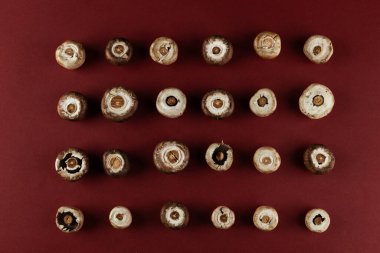 Bu resim zengin bir kestane rengi zemin üzerinde çeşitli mantarların sanatsal bir düzenini sunuyor, onların farklı şekillerini, boyutlarını ve doğal renklerini estetik olarak memnun edici bir şekilde vurguluyor..