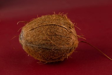 This image showcases a singular brown seed with a textured, fibrous exterior, resting against a deep red background, emphasizing its natural beauty and intricate details. clipart