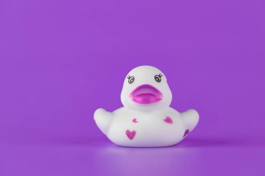 Bu resim sevimli, pembe kalplerle süslenmiş, parlak mor bir zemin üzerine kurulmuş, her banyoya biraz neşe katmak için mükemmel bir plastik ördek sergiliyor..