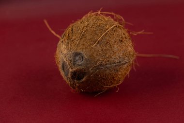 Bu resim, koyu kahverengi kökleri olan yuvarlak bir nesnenin yakın plan görüntüsünü sunuyor, koyu kırmızı bir zemin üzerine kurulmuş, doğal dokuları ve doğada var olan organik formları gösteriyor..