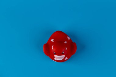Bu resimde, çarpıcı mavi bir yüzeye dayanan sevimli, kırmızı plastik bir ördek görülüyor. Bu da onu neşeli ve çekici bir aksan yapıyor..