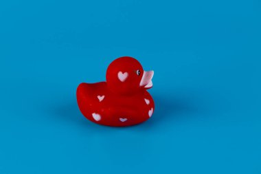 Beyaz kalp şekilleriyle süslenmiş enfes kırmızı kauçuk bir ördek canlı mavi bir arka planda zarif bir şekilde oturur, her ortamda neşe, neşe ve kapris uyandırır..