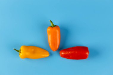 Sarı, turuncu ve kırmızı dolma biberlerden oluşan çarpıcı bir düzenleme canlı mavi bir zemin üzerinde oturarak doğal enerjilerini ve renkli yemekler ve sağlıklı yemekler için potansiyellerini gözler önüne seriyor..