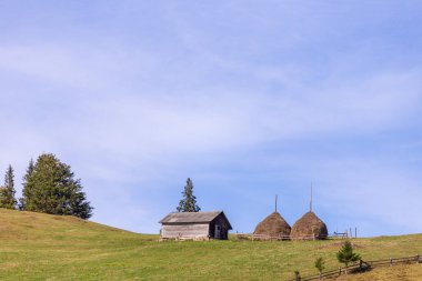 Huzurlu bir kırsal alan manzarası, iki geleneksel saman yığınının yanı sıra hareketli tepeler ve canlı yeşillikler sergilenen tuhaf bir ahşap kulübe..