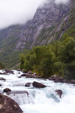 Bu çarpıcı manzara ağaçların ve engebeli dağların arasından süzülen canlı bir nehri gösteriyor. Etrafı yumuşak, sisli bulutlarla çevrili. Bu bulutlar sakin ve nefes kesici bir atmosfer yaratıyor.