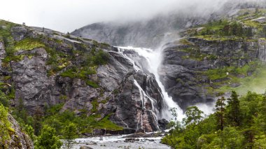 Bu nefes kesen görüntü, güçlü bir şelalenin canlı yeşil bir ormanın ortasında sarp kayalıklardan aşağı düşüşünü gösteriyor. Doğanın güzelliği ve sükunetiyle büyüleyici bir manzara yaratıyor..
