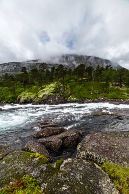 Manzaralı bir manzara, engebeli kayaların yanında akan bir nehri, yemyeşil ağaçları ve görkemli dağlarla çevrili görkemli ağaçları sergiliyor. Arka planda yumuşak, akan bulutlarla gizlenmiş..