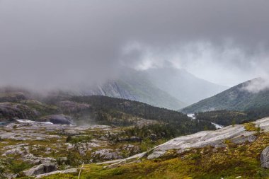 Bu resim sisle kaplı nefes kesen bir dağ manzarası yakalar, yemyeşil vadileri, kayalık arazileri ve doğal manzarayı saran sakin bir nehri gösterir..