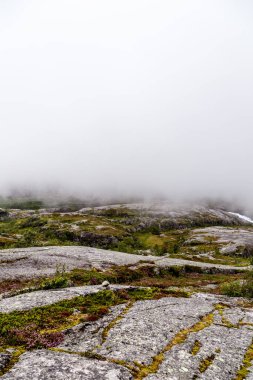 Görüntü ruhani bir manzarayı yakalıyor. Engebeli kayalar sisli bir denize karışıyor. Canlı yeşillik, umut verici sükunet ve huzurla süsleniyor..
