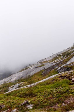 Dumanla kaplanmış eğimli kayalık arazinin manzarası canlı yeşillik ve orman unsurlarının dağlık bölgenin sakin atmosferine katkıda bulunması..