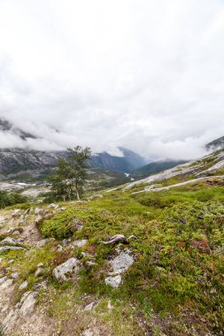 Çarpıcı bir manzara, bulutlarla örtülmüş görkemli dağ zirvelerine dayanan kayalar ve ağaçlarla süslenmiş yemyeşil bir manzarayı gözler önüne seriyor. Huzurlu bir yaban hayatı hissi uyandırıyor..