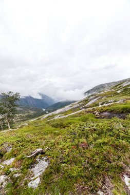 Bu nefes kesen görüntü, uzak dağlık bir arazinin özünü yakalar, zengin yeşillikleri, kayalık arazileri ve kayan bulutlarla ve sükunetle dolu bir atmosferi gösterir..