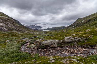 Dağların uçsuz bucaksız yeşil çayırlarla, akarsularla buluştuğu ve doğal manzaranın ortasında yuva yapmış tuhaf bir kulübeyle Norveç 'in dingin güzelliğini keşfediyorum..