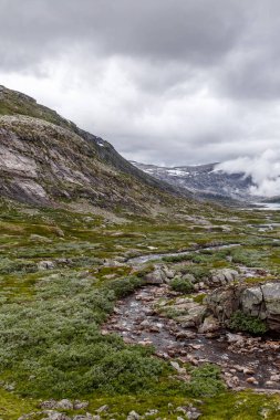 Bereketli yeşil bitki örtüsü, kayalık yamaçlar ve karamsar gökyüzünün altında yükselen dağların bulunduğu İskandinav manzarası. Huzurlu bir akıntı zarif bir şekilde sahnede akıyor..