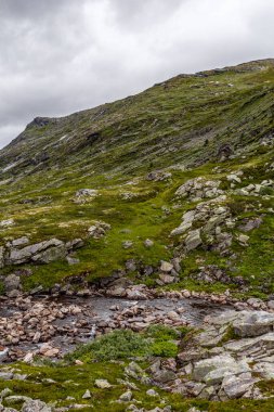 Bu görüntü, yemyeşil tepelerin ve dağılmış kayalarla çevrili dolambaçlı bir akarsuyun sakin bir görüntüsünü yakalar, uzak dağlık bir bölgedeki doğanın güzelliğini yansıtır..