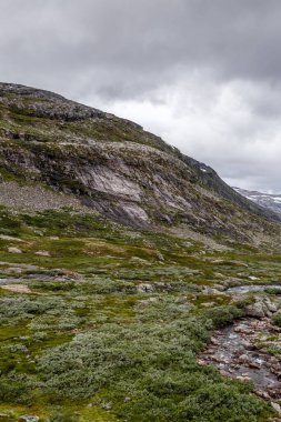 Sarp kayalıkların, canlı yeşil çalıların ve etkileyici bulutlu bir gökyüzünün altında akan nazik bir akıntının yer aldığı engebeli bir dağ manzarası..