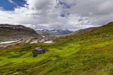 Bu resim, çarpıcı dağlarla çevrili canlı yeşil çimlerle ve engin bir gökyüzünün altında dolambaçlı bir nehirle çevrili tuhaf bir İskandinav manzarası sergiliyor..