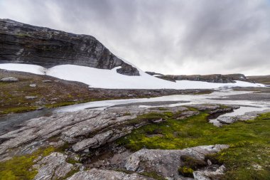 Bu resim, kayalık yüzeyler, karlar ve yemyeşil suların arasında akan yumuşak bir akarsu ile işaretlenmiş nefes kesici doğal bir manzarayı gözler önüne seriyor..