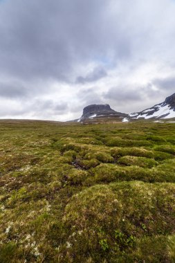 Huşu uyandıran manzaralı, yuvarlanan çimenli tepeler, kar yığınları ve bulutlu bir gökyüzünün altında yükselen dağ zirvesi dokunulmamış doğanın huzur dolu güzelliğini simgeliyor..