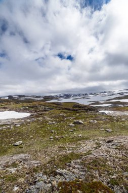 Bu nefes kesen görüntü, dingin göller, kayalık araziler ve canlı yeşil yosunlar ve dinamik bulutlarla dolu gökyüzü tarafından çerçevelenmiş kar parçalarından oluşan engebeli bir yaban hayatı sergiliyor..