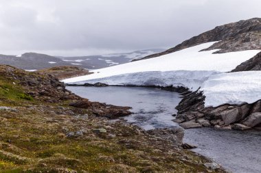 Bu büyüleyici görüntü, karla kaplı dağların, yumuşak bir akarsuyun ve kayalık manzaraların, dingin doğanın ve huzur dolu özün yer aldığı resmedilmiş bir kutup manzarasını tasvir ediyor..